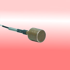 Sensor de Temperatura  para cámaras de refrigeración con cable de extensión Serie RTDCAR.